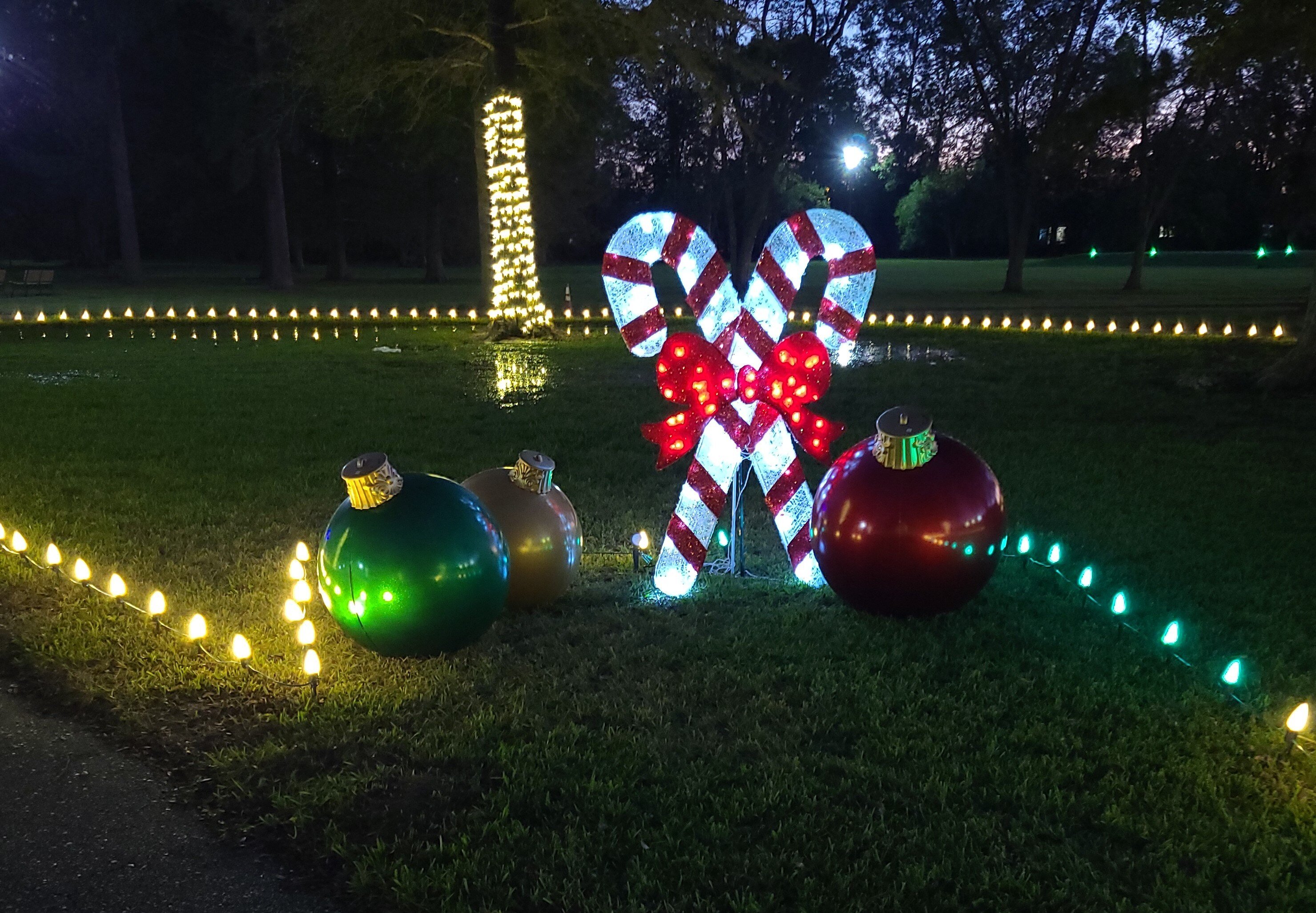 Free Holiday Lights at Lane Open Now – January 5